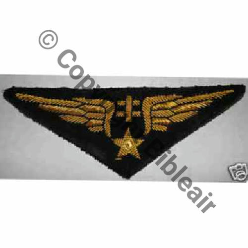 AILE POITRINE PILOTE FAFL Neuve Sc.BROUSSARD 29Eur06.08