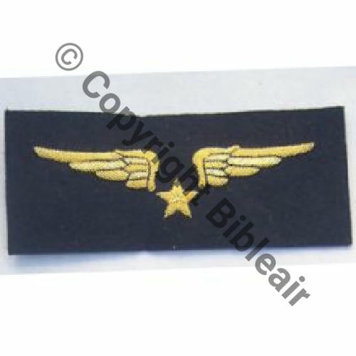 AILE POITRINE PILOTE Sc.collection85jacques 3Eur07.11