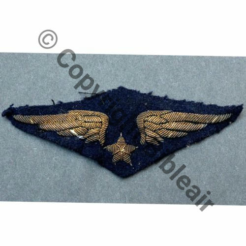AILE POITRINE PILOTE WW2 CANNETILLE LOSANGE circa 40.50 42x110mm Src.ccluc 21EurInv