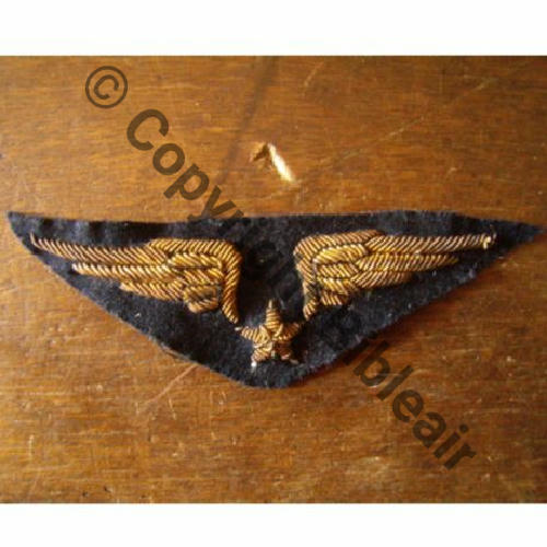AILE POITRINE PILOTE WW2 CANNETILLE Src.wiking5071 12Eur03.12 