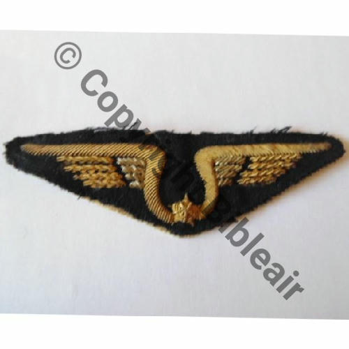 AILE POITRINE PILOTE WW2 Cannetille Src.valislaeta 49EurInv 