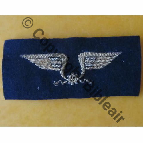 AILE POITRINE TRANS  Src.photosmilitaires 19Eur10.12 