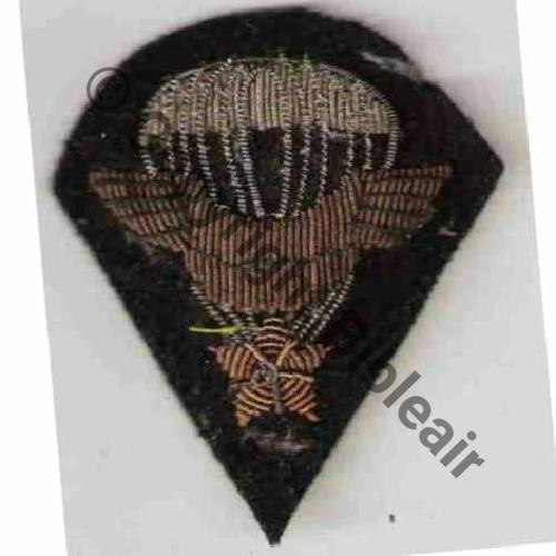 BREVET PARA INFANTERIE AIR 55x65mm cree 26.08.38 remplace par Brevet Metal 1.06.46  Sc.marmotte92 186Eur06.10 