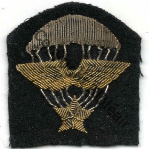 BREVET PARA INFANTERIE AIR 601 602e GIA Src.man2990 200EurInv 