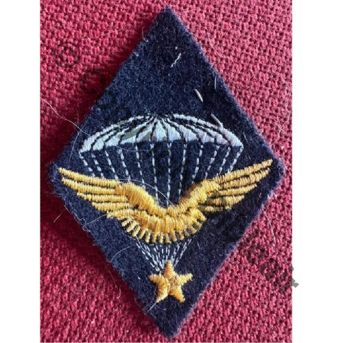 BREVET PARA INFANTERIE AIR Losange cree 26.08.38 remplace par Brevet Metal 1.06.46  Src.nicolas.dugoujon 160EurInv 
