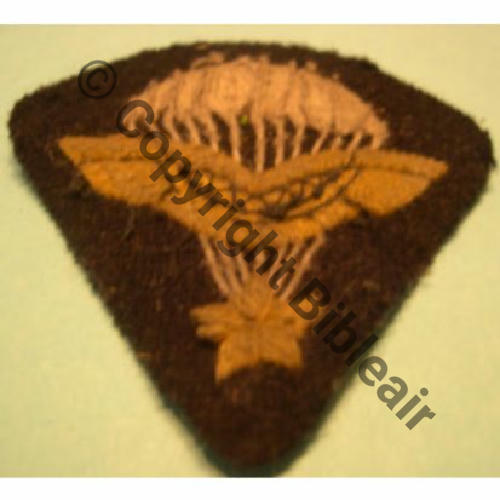BREVET PARA INFANTERIE AIR SAS FFL SOEc.gustou29 123Eur03.11 
