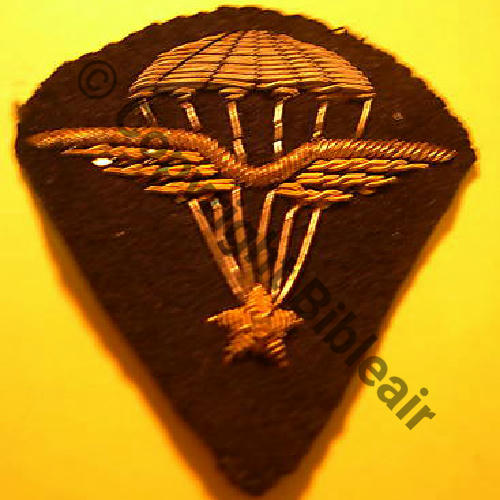 BREVET PARA INFANTERIE AIR c.gustou29 152Eur03.09 