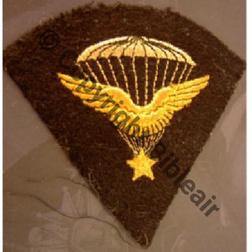 BREVET PARA INFANTERIE AIR fond marron cree 26.08.38 remplace par Brevet Metal 1.06.46  Sc.ledemisolde 32Eur09.11 