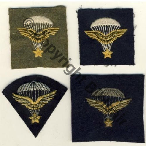 BREVETS TISSU INFANTERIE AIR 2Brodes tissu 2Brodes canetille Src.ADER 1470Eur 2016 