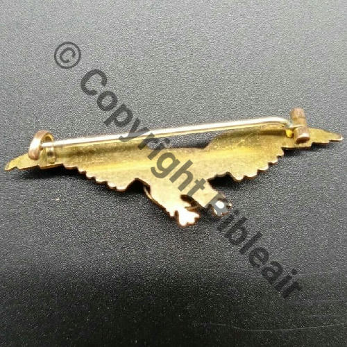 CHAROGNARD Type FIX SM Eping bascule poinconnee plaque or Dos lisse 50x16mm DOS Src.sebabag29 42Eur03.22 