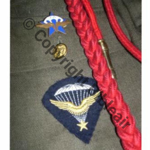 INS & BREVET 1eRCP AIR FAFL 1944 Sc.gustou29