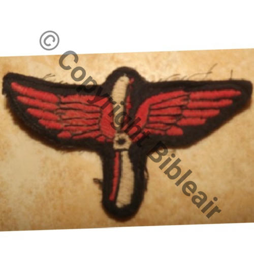 INS GENERAL CIE AVIATION MODELE 1912 HOMME TROUPE  Brode Src.labiche317 153Eur05.12