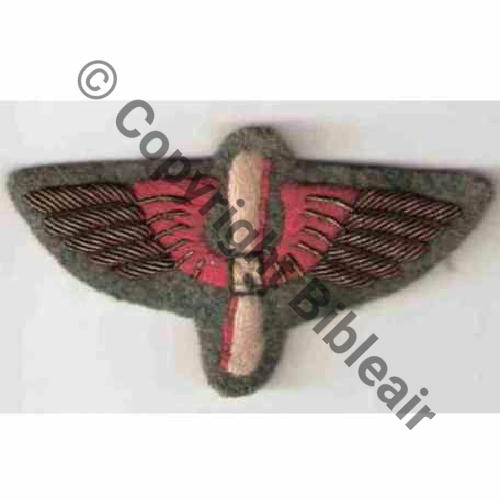 INS GENERAL CIE AVIATION MODELE 1912 SOUS OFFICIER 80x45mm Src.marmotte92 248Eur06.11