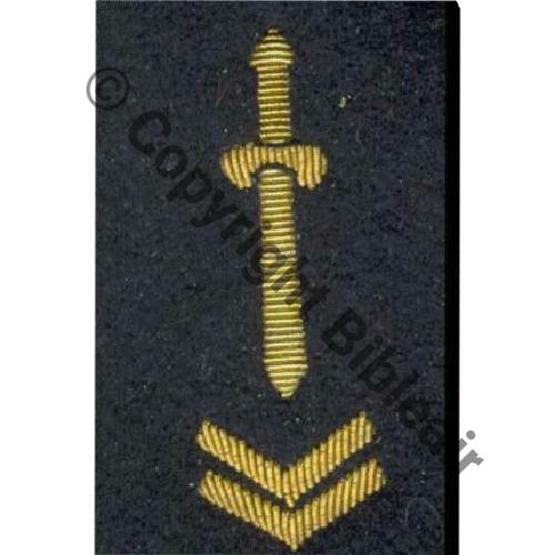 INS MANCHE ENCADREMENT 2 CHEVRON  Src.fc2184 5Eur02.13 