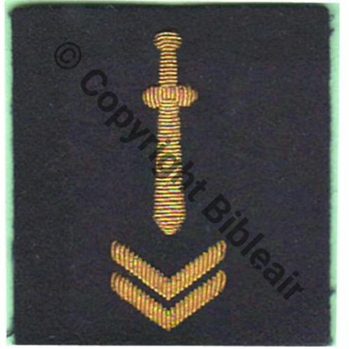 INS MANCHE ENCADREMENT 2CHEVRONS cannetille Sc.A.BLANCHET 8Eur04.11 
