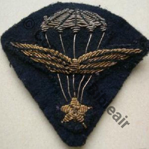 INS MANCHE INF AIR 1eRCP SAS WW2 Sc.gustou29  258Eur09.07