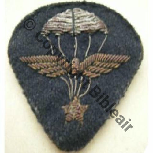 INS MANCHE INF AIR FFL SAS WW2 Sc.gustou29  294Eur04.08