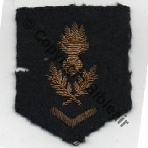 INS MANCHE SECRETAIRE ETAT MAJOR 1 Chevron Cannetille Src.fc2184 15EurInv 