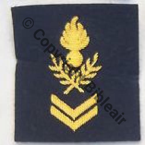 INS MANCHE SECRETAIRE ETAT MAJOR Sc.collection85jacques 3Eur07.11  - Copie