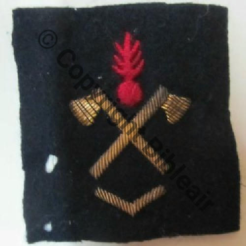 INS MANCHE SECURITE INCENDIE 1Chevron Src.valislaeta 7Eur08.13 