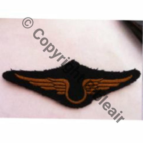 AILE POITRINE NON SPECIALISTE Type casquette Src.kriegmedal 