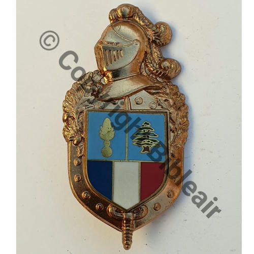 PREVOTE H696 LIBAN  DrMV 2Anneau Guilloche Src.mdt.collections 16EurInv 