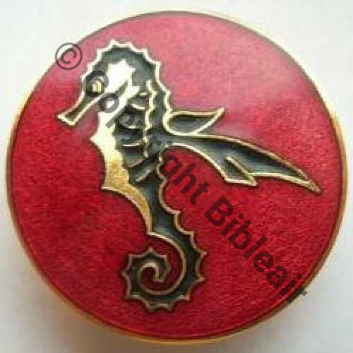 01F.11F  AB.P Marque en relief FLOTILLE 11F R  pour REFRAPPE Bol prison Dos lisse Sc.jmdors 26Eur(x2) 