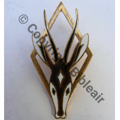 ESCADRILLE 2B marque au dos A.AUGIS LYON 2Lig 2Anneaux Dos lisse Src.viellarde 137Eur 04.15