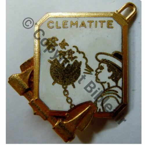 CLEMATITE DRAGUEUR D323  CLEMATITE  A.AUGIS ST.BARTH LYON 3Li Bol fenetre allonge Dos lisse irreg Src.leberetvert  PV180Eur 