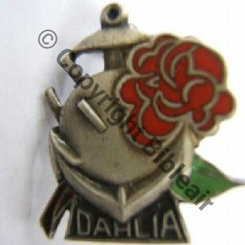 DAHLIA  DRAGUEUR DAHLIA  AB SM Bol Dos lisse 19mm Sc.leberetvert 22Eur06.08