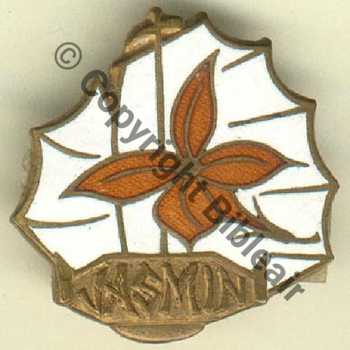 JASMIN  DRAGUEUR JASMIN Sc.grandspins13 MAX24Eur 