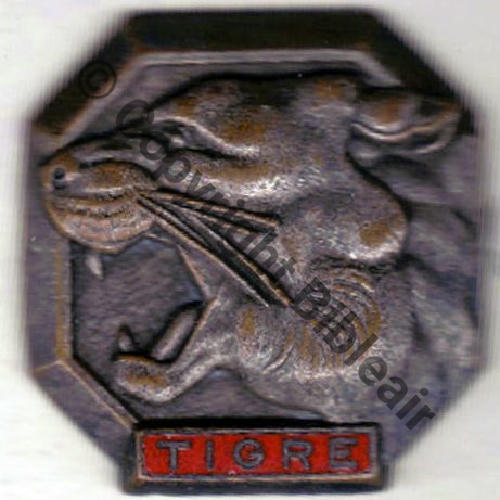 TIGRE  CONTRE TORPILLEUR TIGRE  SM Bol 31x31mm  Src.badgesareus 35EurInv 
