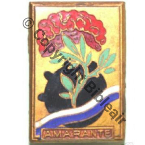 AMARANTE  DRAGUEUR AMARANTE ex301 2PI55  COURTOIS  Sc.jacou7acp 