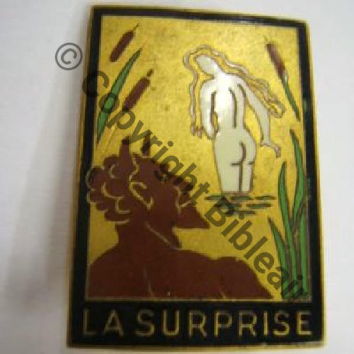 SURPRISE  FREGATE LA SURPRISE Type2  DrPBER Bol Dos lisse irreg  Sc.leberetvert MAP43Eur (2)