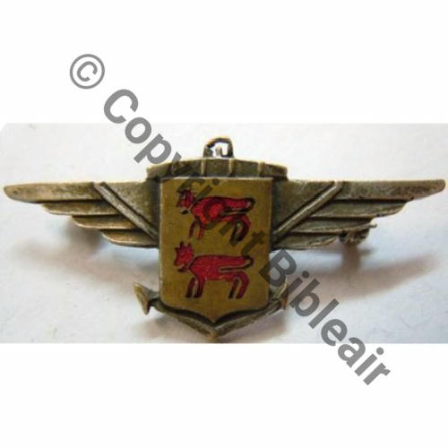 BEARN  PORTE AVIONS BEARN 1939 AB.P Dep Eping bascule Dos lisse Sc.leberetvertl PV80Eur03.12