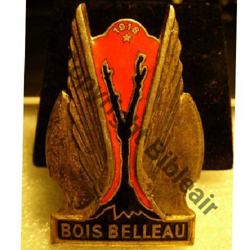BOIS  PORTE AVION BOIS BELLEAU Aile doree  DrPNRom DPast Guilloche Sc.commis313 10Eur01.10 