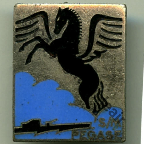 PEGAZE SOUS MARIN 1eCLASSE PEGAZE  AB.P Dep Sc.grandspins13 PV160Eur