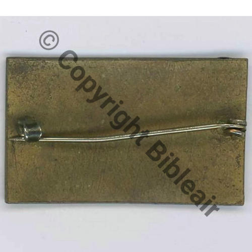 INDOCHINOIS  CARGO INDOCHINOIS FNFL SM eping bascule Src. 110EurInv 