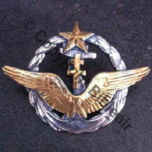 BREVET PILOTE FAFL.. ou FANTAISIE   SM 2Anneaux Petite taille.. ou grosse etoile Src.doria1969  52Eur09.12 