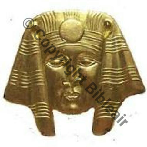 CERTIFICAT INTERPRETE 1947 35x30mm existe en 21mm 2Agraffes Embouti DORE UNIQUEMENT Argent et Bronze sont ATerre Src.L.DANJOU 