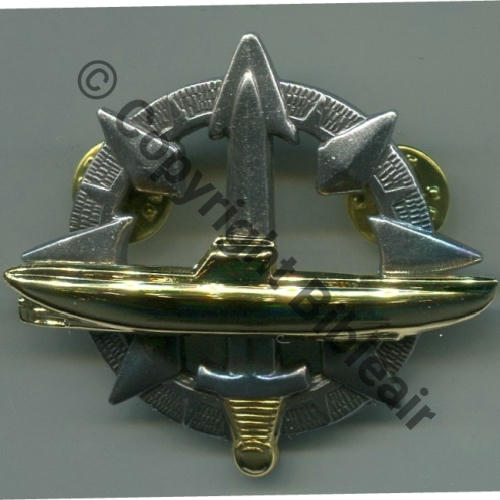 CERTIFICAT SOUS-MARINIER SUPERIEUR 1974  DrP 2Attach pins Strie Src.L.DANJOU 
