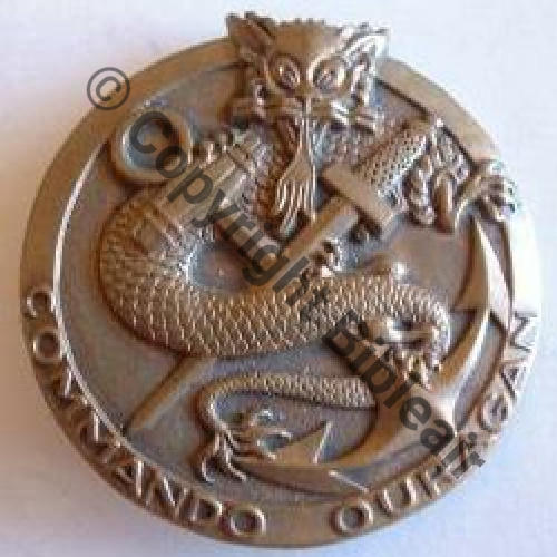 CODO OURAGAN  AB.P Dos lisse Embouti 45mm Langue non peinte Sc.gaulois74 MAP50Eur 