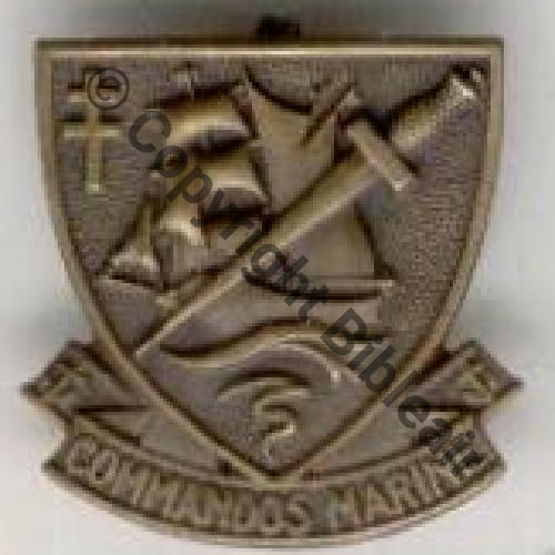 CODOS MARINE  AB.P Bol poinconne Chevrons 25x25mm Modele de fourragere Sc.mian04nou 14EurInv