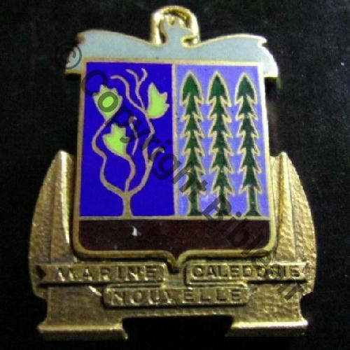 MARINE NOUVELLE CALEDONIE  DrP DPast Dos lisse irreg Src.patarcadius 12EurInv 