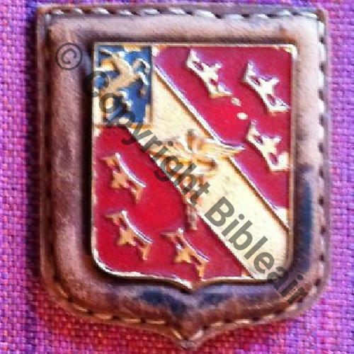 SANATORIUM ALTITUDE SAINT BLASIEN ALSACE  Peint  SM Sur fond cuir format blason Src.fgsante PV50Eur 