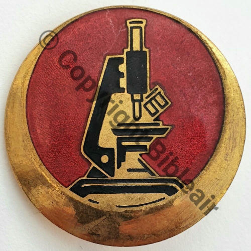 LABORATOIRE TERRITOIRES SUD ALGERIEN  DrPN Ber Bol Dos irreg strie Embouti Src.mdt.collections  98EurInv
