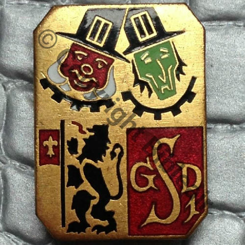 GSD  Gpe SANITAIRE DIVISIONNAIRE 1 1eDIV INF MOTORISEE MIROU SM Pastille MIROU LILLE Dos lisse irreg Src.flfstore 50EurInv
