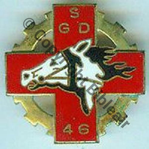 GSD  Gpe SANITAIRE DIVISIONNAIRE 46  EmailGF(DUSEAUX) 2 pattes larges Dos lisse Src.sante59 300EurInv 