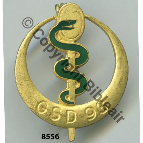 GSD  Gpe SANITAIRE DIVISIONNAIRE 93 DORE  DrBER Dep Dos lisse Src.grandspins13 30EurInv