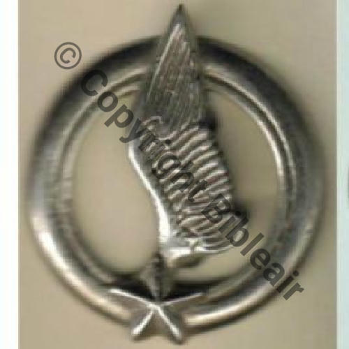 ALAT.. SM Dos lisse irreg Bol Eping artisan  Sc.badgesareus 75EurInv